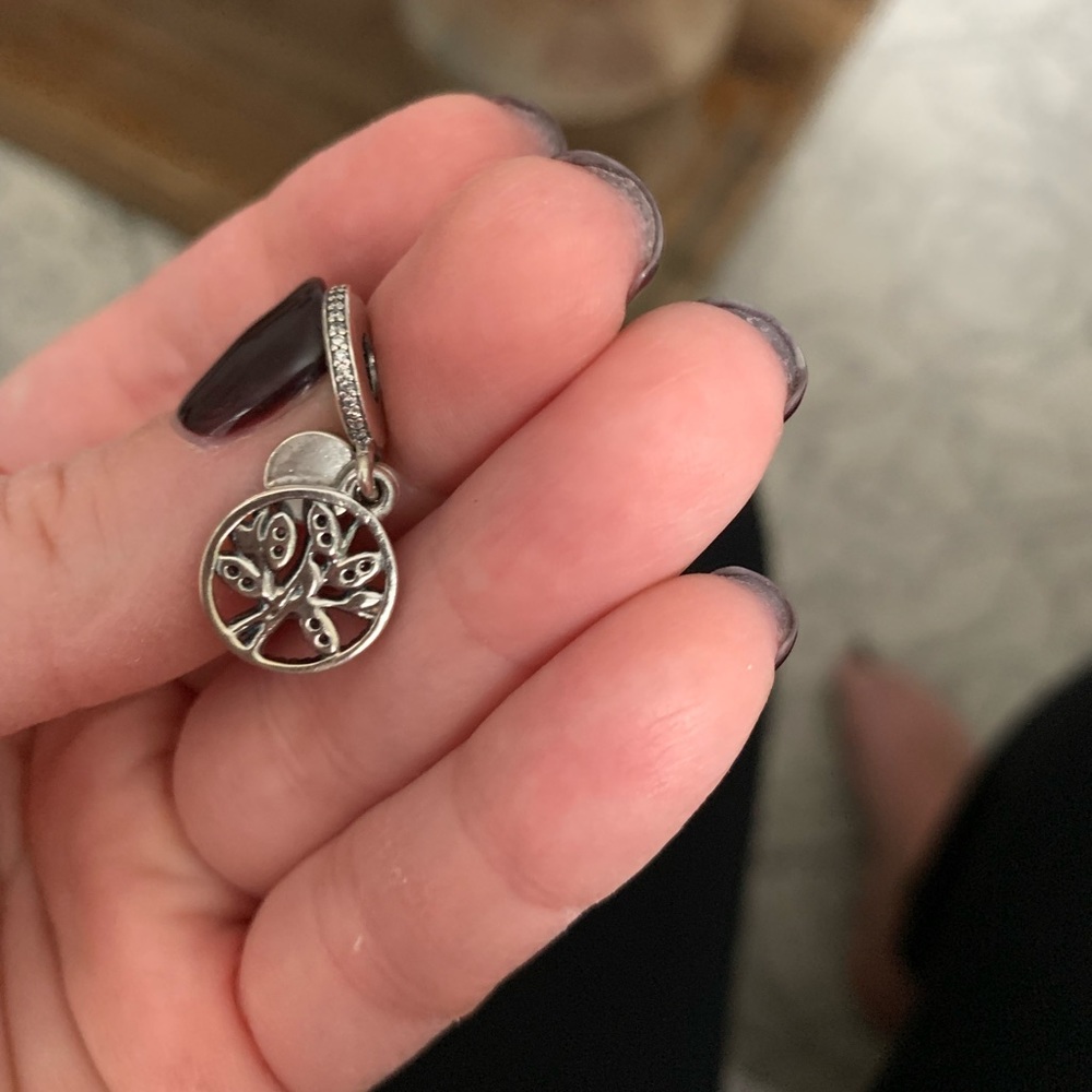 Family Pandora Charm